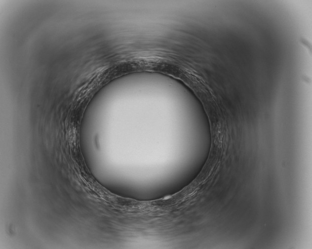 X0000100381061200806201645