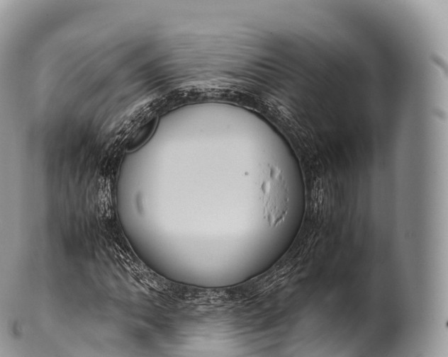 X0000100381062200806201645