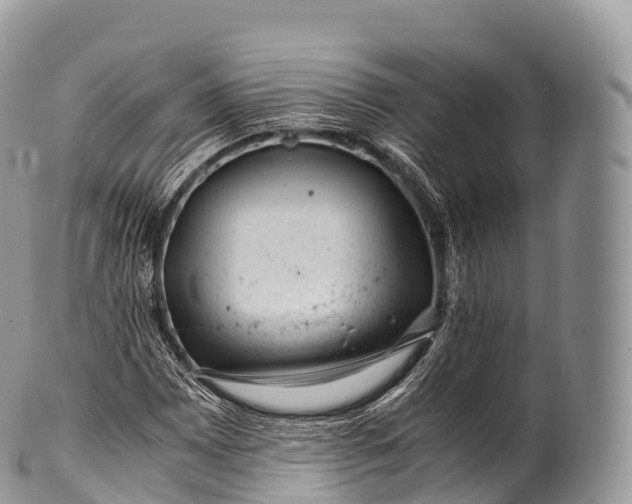 X0000100381065200806201645