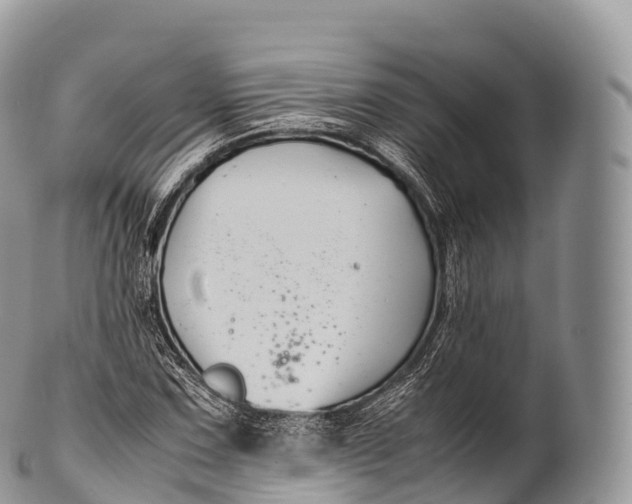 X0000100381067200806201645