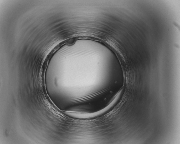 X0000100381068200806201645