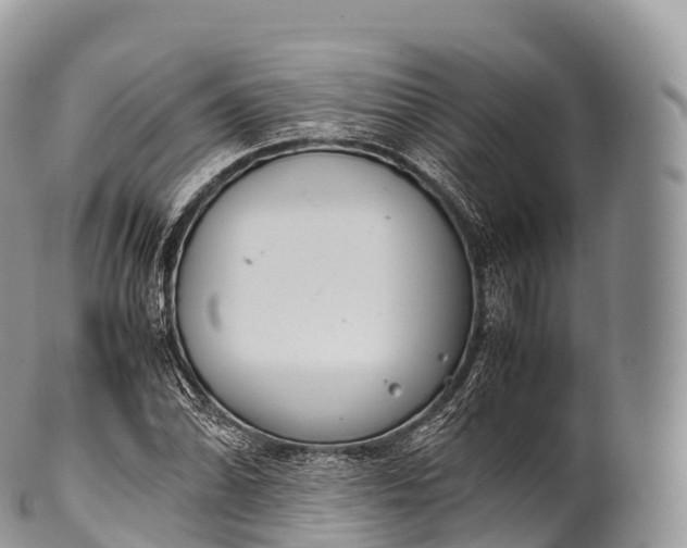 X0000100381070200806201645