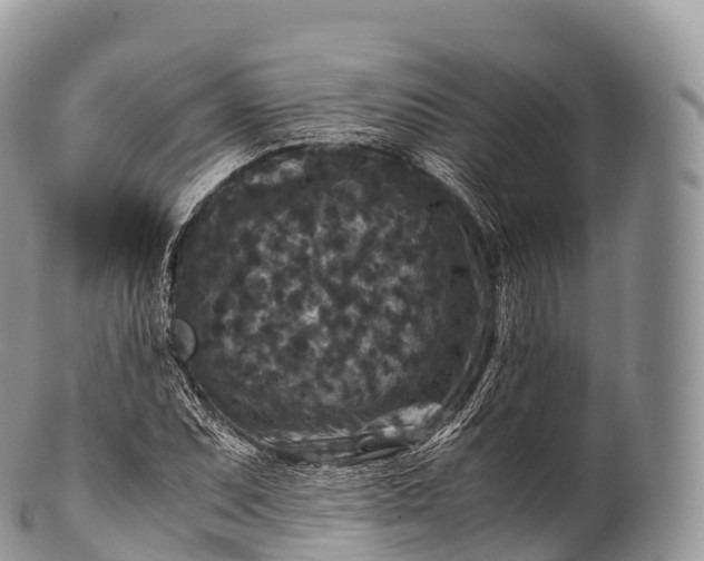 X0000100381071200806201645