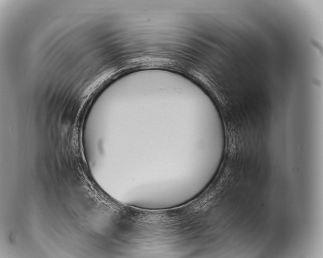 X0000100381074200806201645