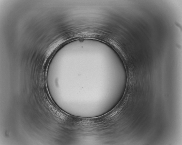 X0000100381075200806201645