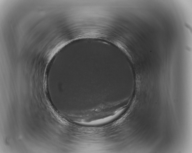 X0000100381077200806201645