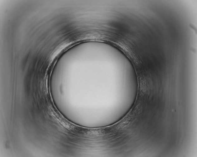 X0000100381078200806201645