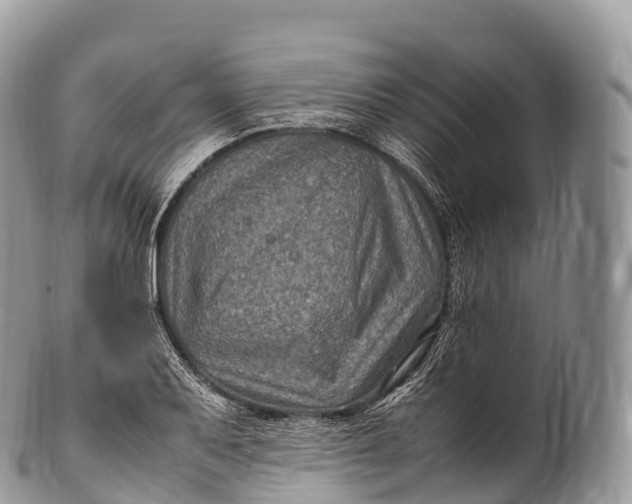 X0000100381079200806201645