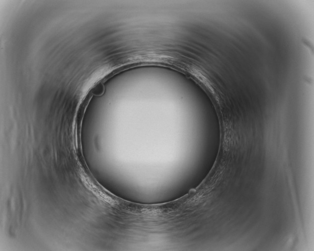 X0000100381080200806201645