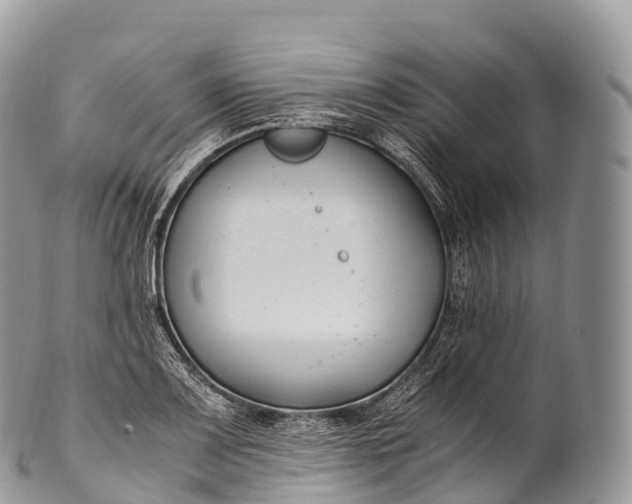 X0000100381083200806201645