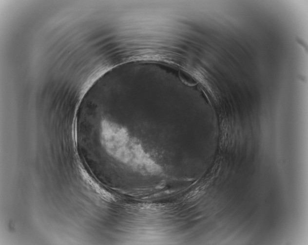 X0000100381084200806201645