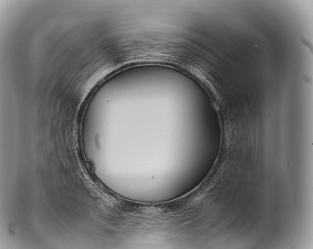 X0000100381085200806201645