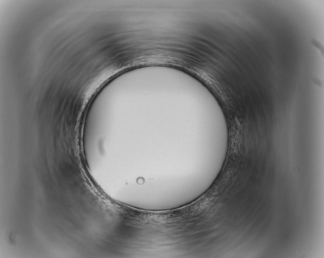 X0000100381086200806201645