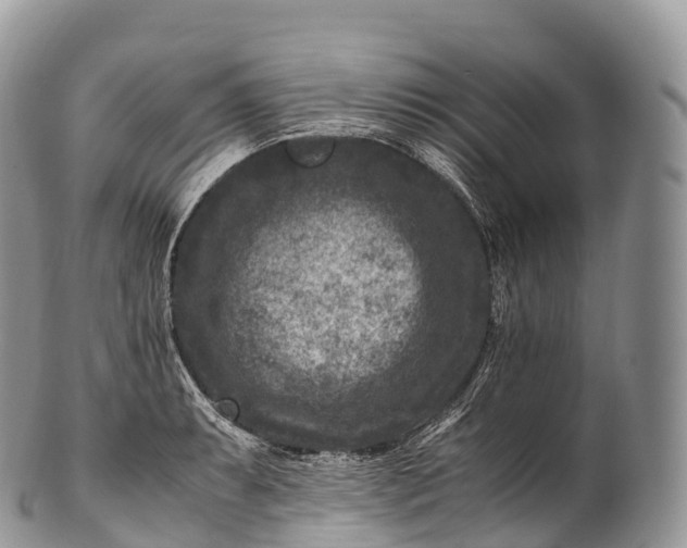 X0000100381087200806201645