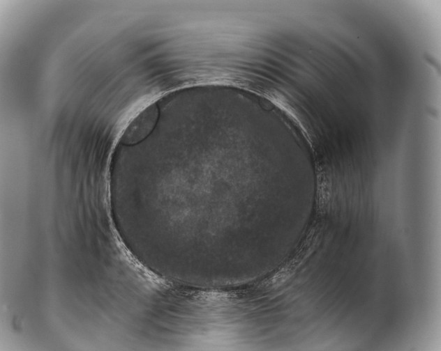X0000100381088200806201645
