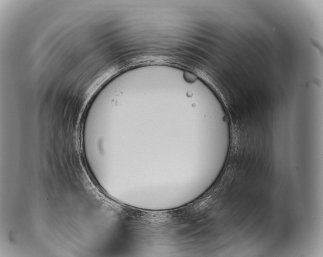 X0000100381090200806201645