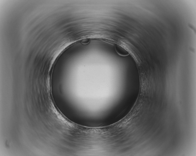 X0000100381092200806201645