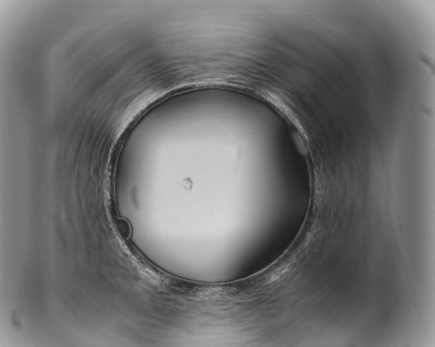 X0000100381093200806201645