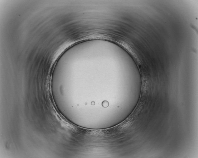 X0000100381094200806201645