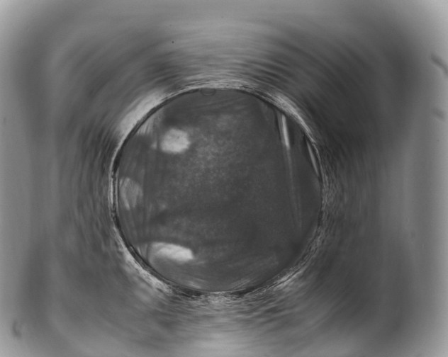 X0000100381095200806201645