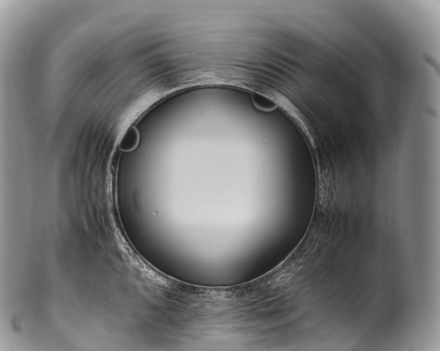 X0000100381096200806201645