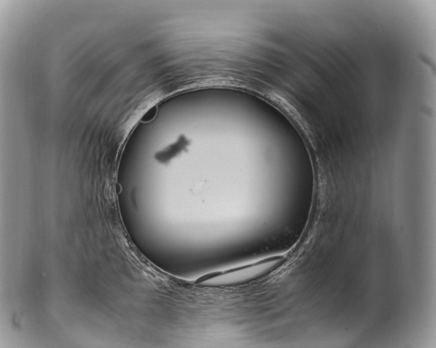 X0000100381097200806201645