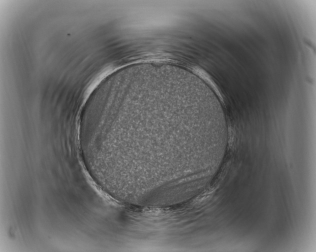 X0000100381099200806201645