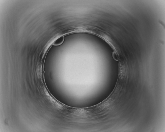 X0000100381100200806201645