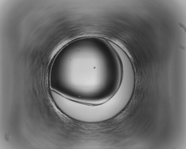 X0000100381101200806201645