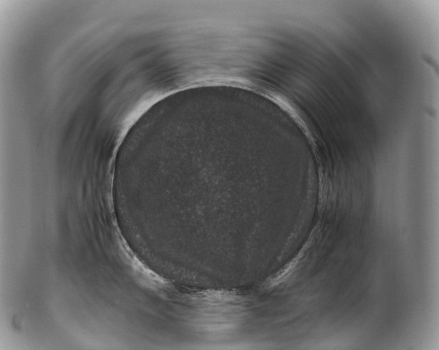 X0000100381102200806201645