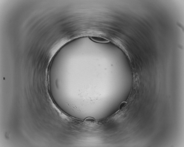 X0000100381103200806201644