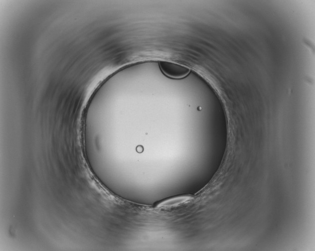 X0000100381104200806201644