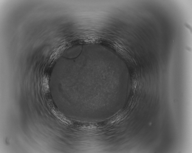 X0000100381106200806201644