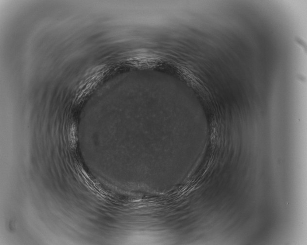 X0000100381108200806201644