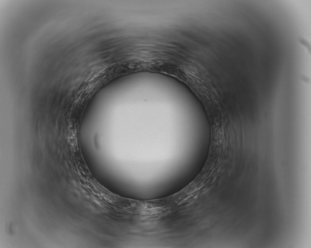 X0000100381109200806201644