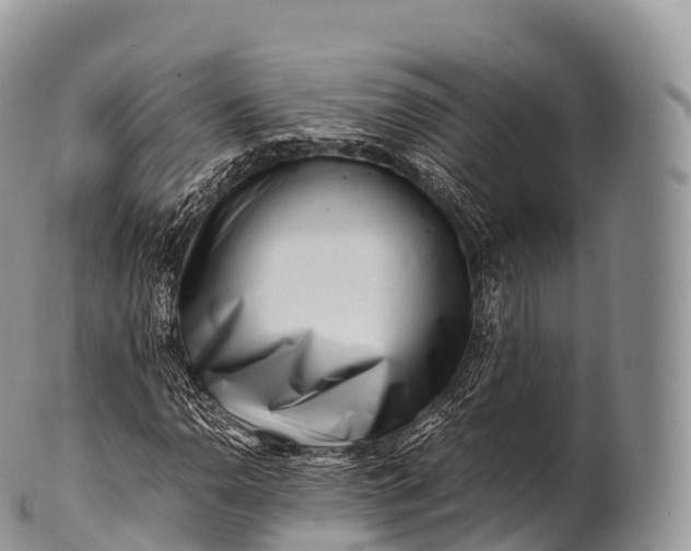 X0000100381110200806201644