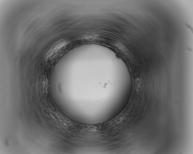 X0000100381111200806201644