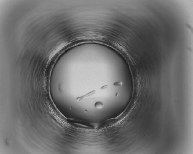 X0000100381114200806201644