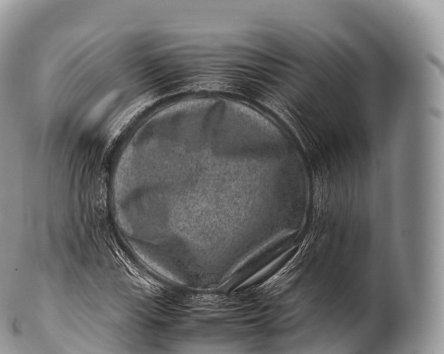 X0000100381115200806201644