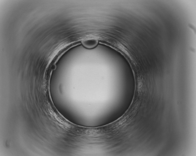X0000100381116200806201644