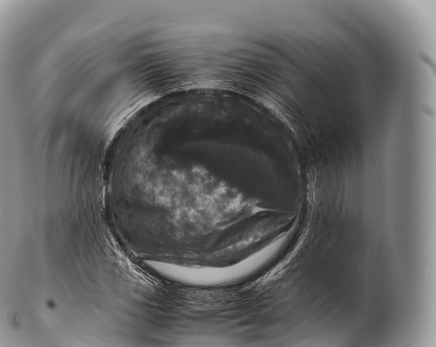 X0000100381117200806201644