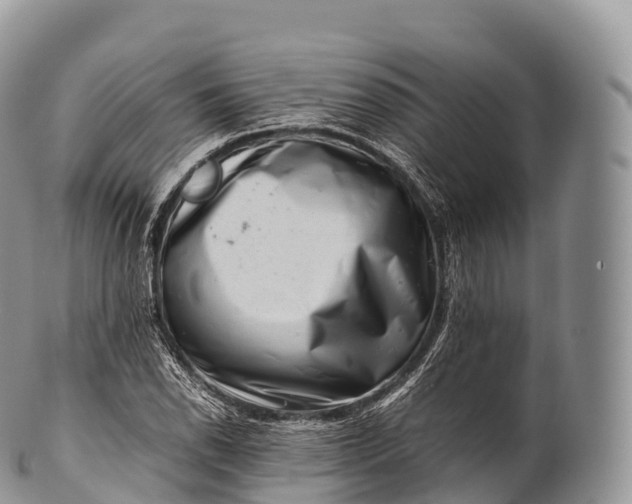X0000100381118200806201644
