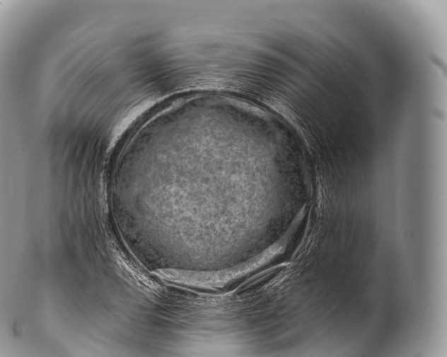X0000100381120200806201644