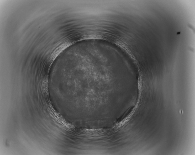 X0000100381121200806201644