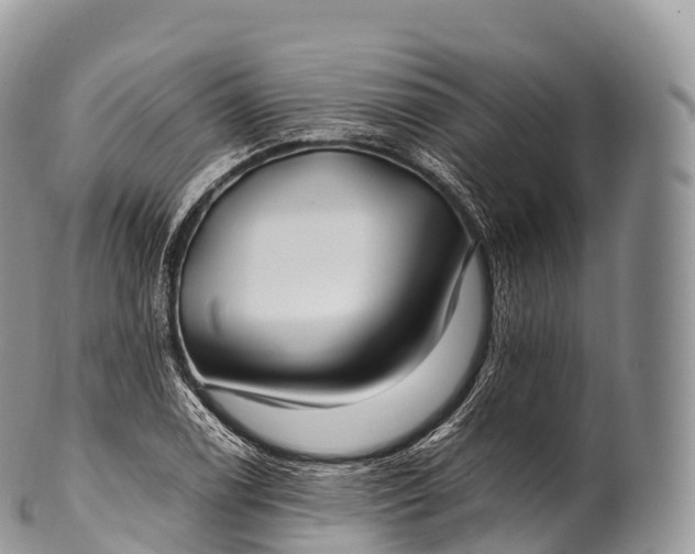 X0000100381122200806201644