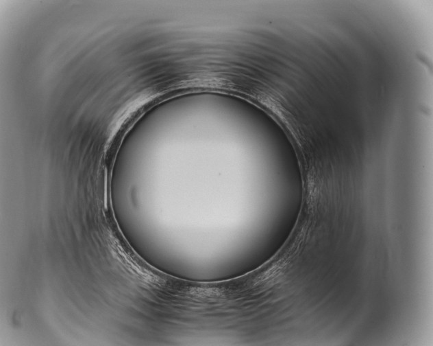 X0000100381123200806201644