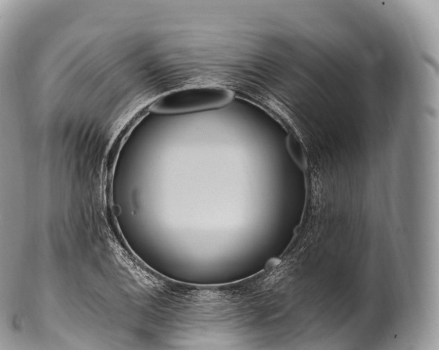 X0000100381124200806201644