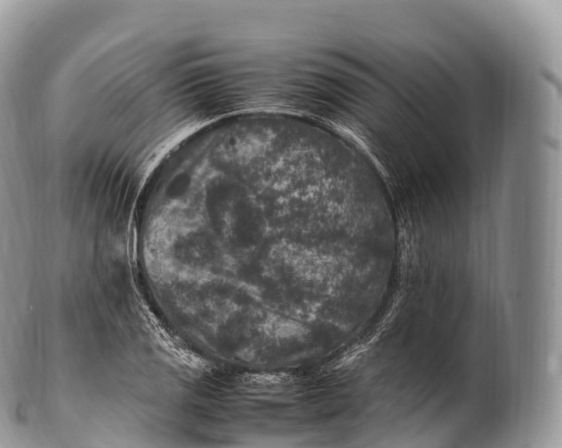 X0000100381125200806201644