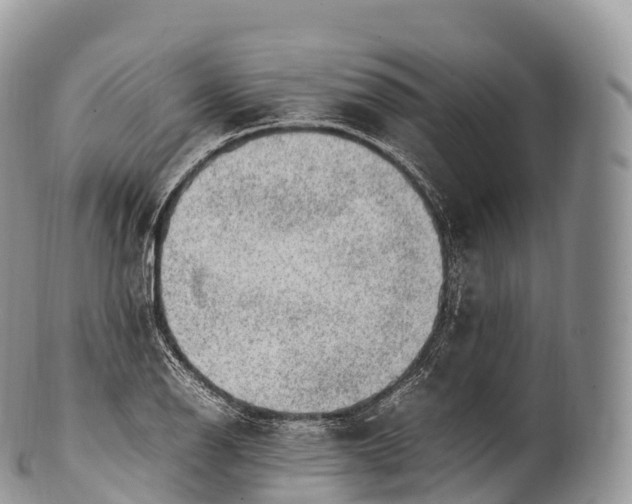 X0000100381126200806201644