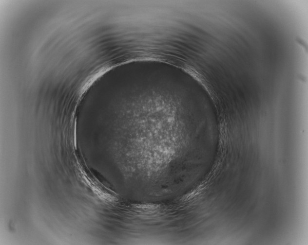 X0000100381127200806201644